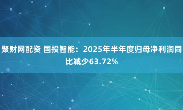 聚财网配资 国投智能：2025年半年度归母净利润同比减少63.72%