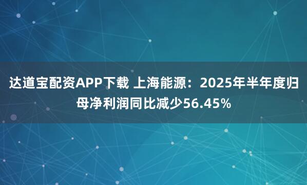 达道宝配资APP下载 上海能源：2025年半年度归母净利润同比减少56.45%