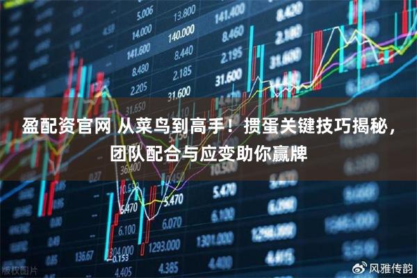 盈配资官网 从菜鸟到高手！掼蛋关键技巧揭秘，团队配合与应变助你赢牌