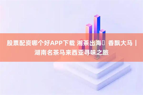 股票配资哪个好APP下载 湘茶出海・香飘大马｜湖南名茶马来西亚寻味之旅
