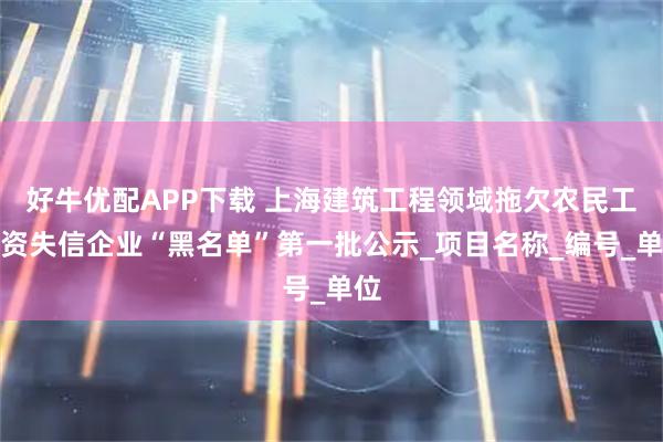好牛优配APP下载 上海建筑工程领域拖欠农民工工资失信企业“黑名单”第一批公示_项目名称_编号_单位